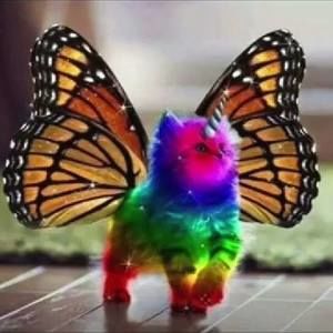 Meet your Posher, Frances